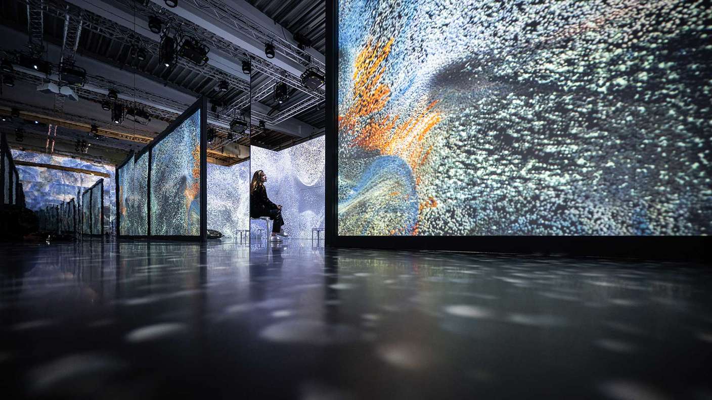 Monets Garten - Ein immersives Ausstellungserlebnis