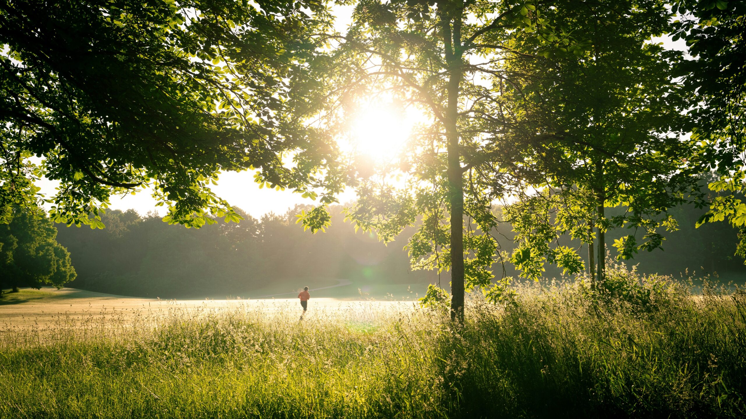 Grillen in München: Ostpark