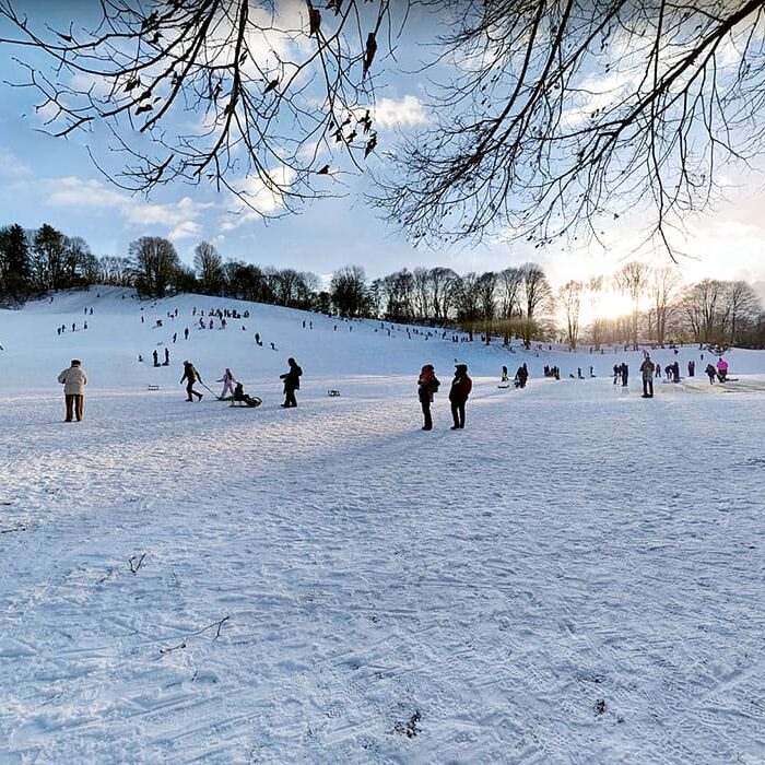 Schlittenfahren und Rodeln in und um München: Luitpoldhügel im Luitpoldpark