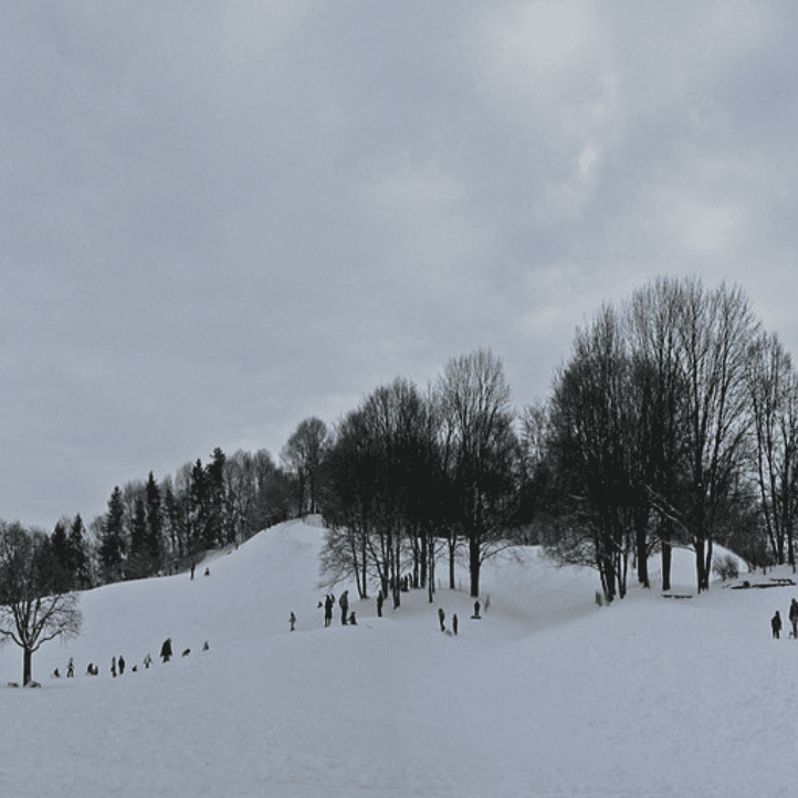 Schlittenfahren und Rodeln in und um München: Luitpoldhügel im Luitpoldpark