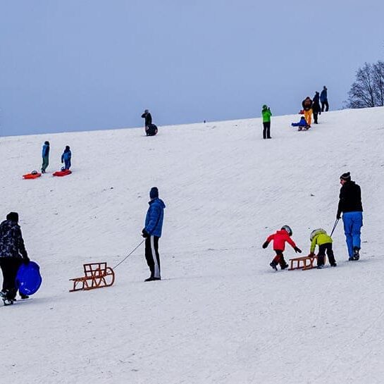 Schlittenfahren und Rodeln in und um München: Westpark