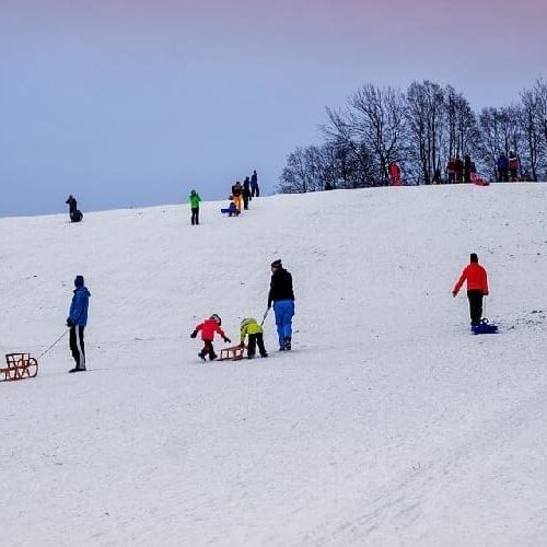 Schlittenfahren und Rodeln in und um München: Neuhofer Berg im Sendlinger Park