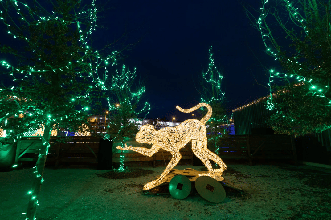 074413_ed7ba37b40c4f2752b1c3470b0d8d9e22b412818_lumagica-affe.webp