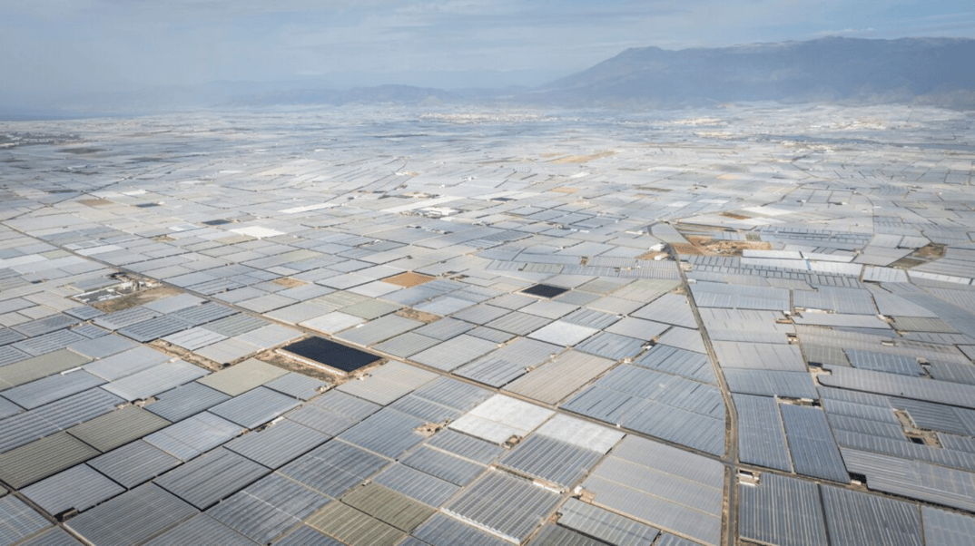 063911_348a58245bc137e1f6517c2c21aa618b21f711ce_convivium-greenhouses-in-almeria.webp
