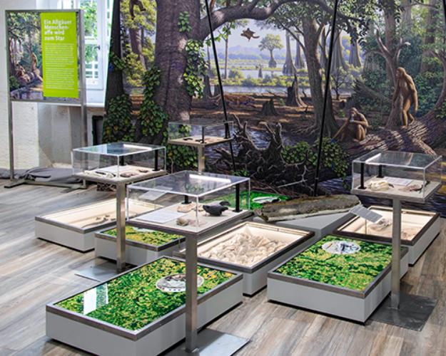 072715_4709493ad63bf80ca1179ae8988c020c4a28aab0_molassic-park-ausstellung2021.webp