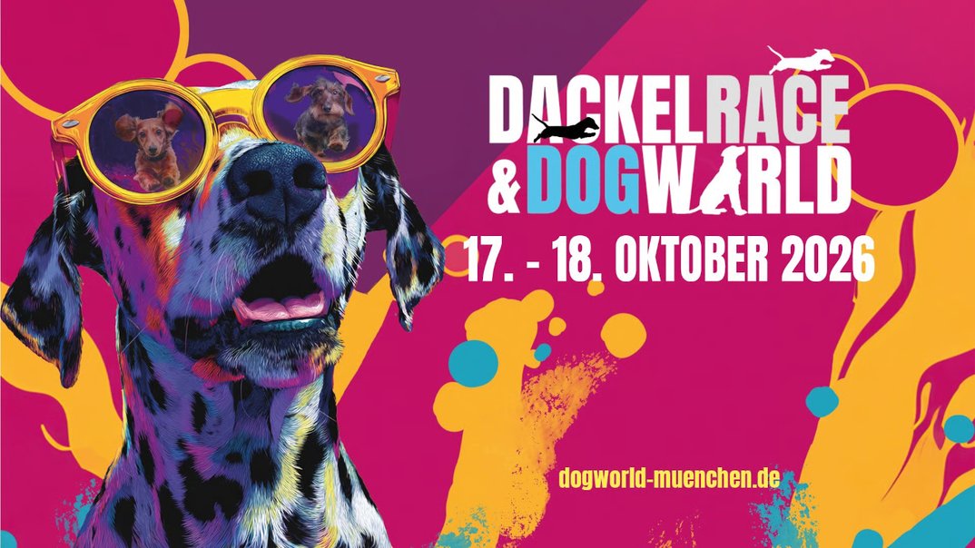 125159_d3872d0c24fb1539b1c07bf0428bd28dcf77ec7f_dogworld2026-1.webp