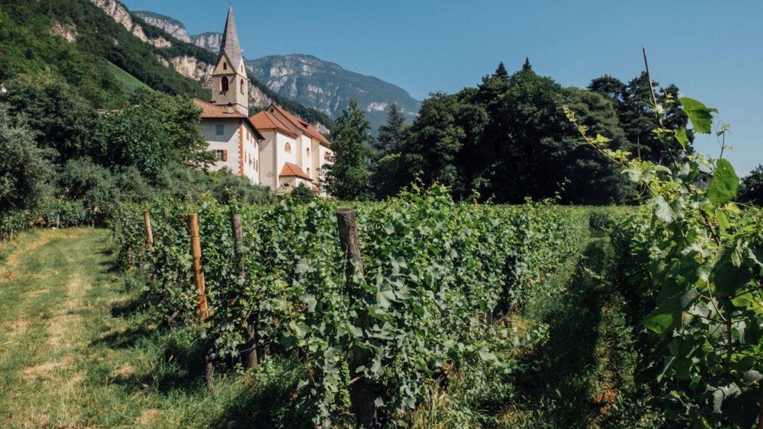 041149_0b279e33c0db3244f621dbb5abb6c6722e91eacd_bergson-wine-tasting-lageder-1.webp