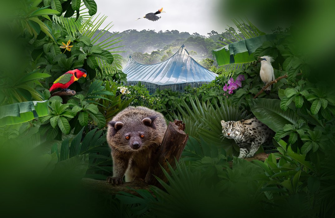112638_fdf989b6ea57449a9e72c513bd88113a2bd27736_tierpark-hellabrunn-eroeffnung-dschungelwelt-anmeldung.webp